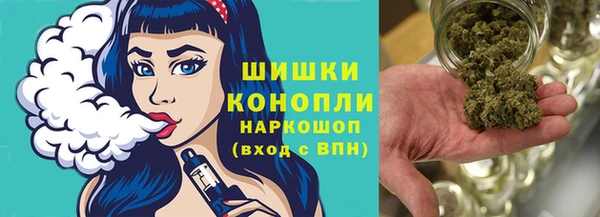 гашик Володарск