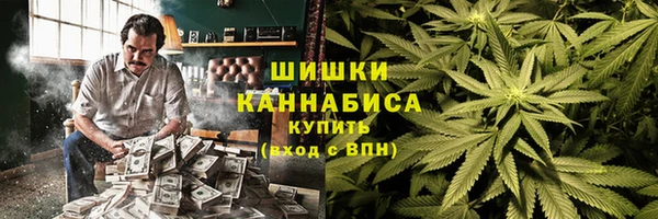 гашик Володарск
