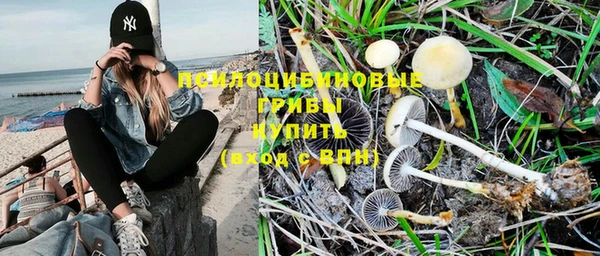 мдпв Вязьма