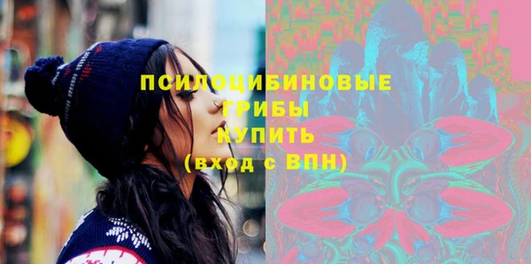 герыч Вяземский