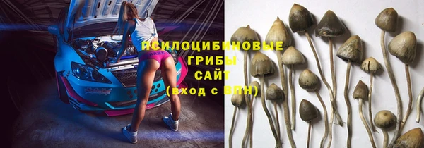 гашик Володарск